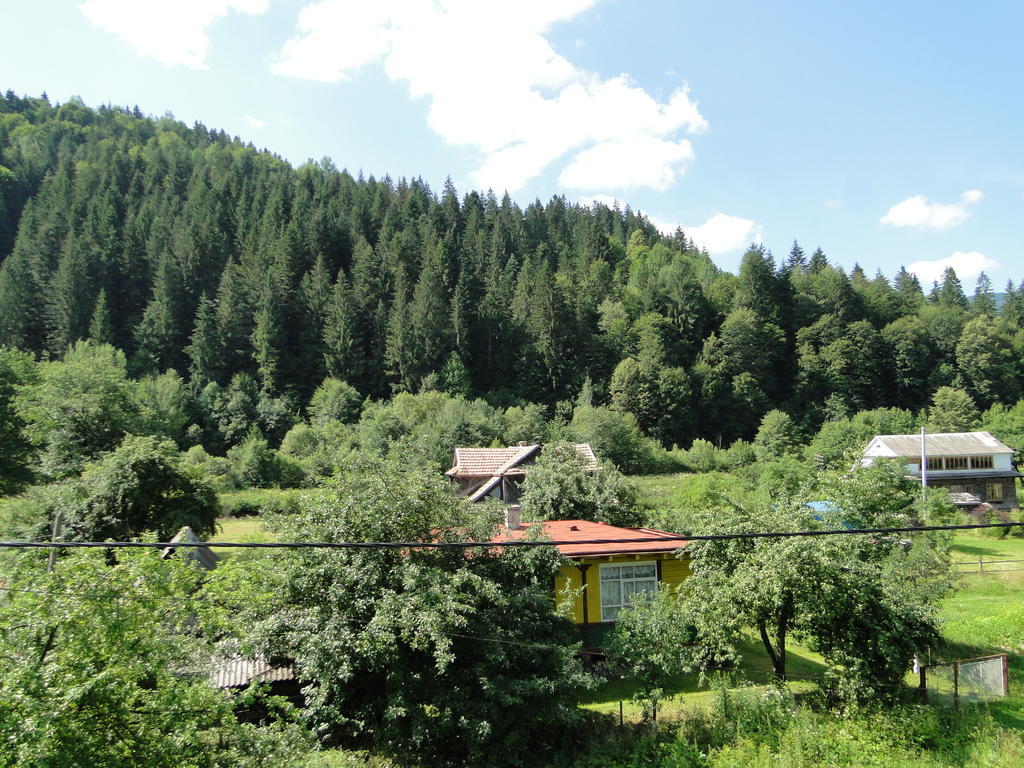Villa Bilogirya Jaremtsje Buitenkant foto